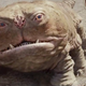 Illustration for article titled Thark Yeah! 30 emJohn Carter/em screencaps reveal the secrets of Mars